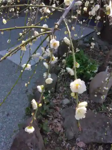 妙法寺（山崎）(神奈川県)