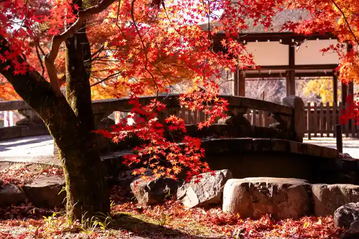 賀茂別雷神社(上賀茂神社)(京都府)