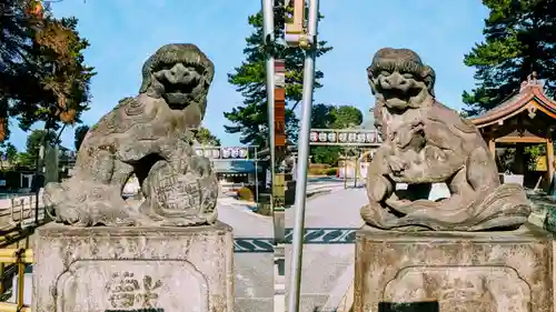 中野沼袋氷川神社の狛犬