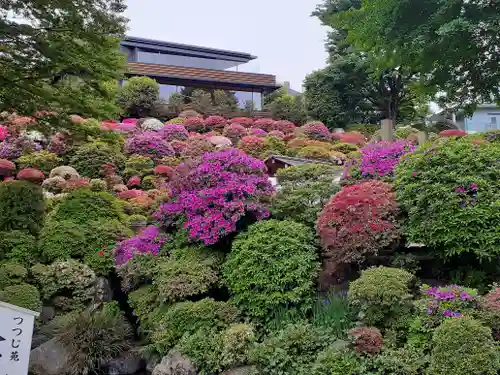 根津神社の自然