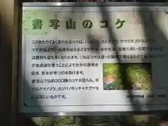 圓教寺の建物その他