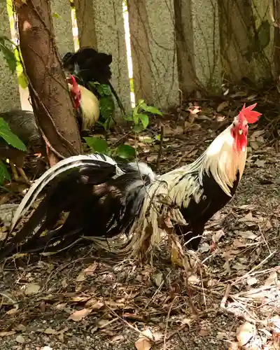 浪打八幡宮(香川県)