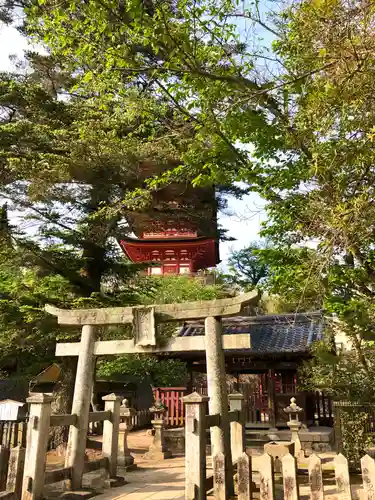 荒胡子神社の鳥居