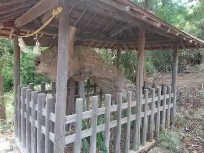 波閇科神社(長野県)