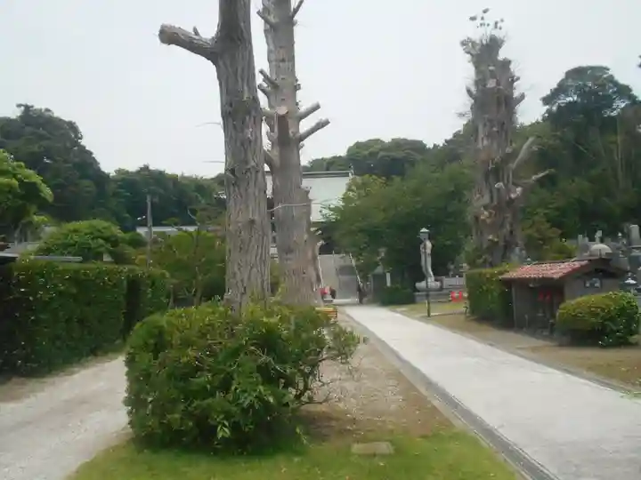 圓福寺(円福寺)のその他建物