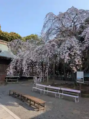 常陸第三宮 吉田神社(茨城県)