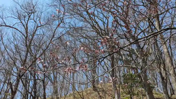 別保神社の自然