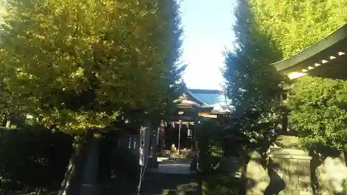 白鬚神社の本殿