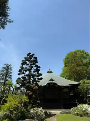 妻沼聖天山歓喜院(埼玉県)