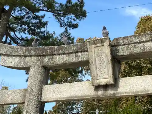 三津厳島神社の鳥居