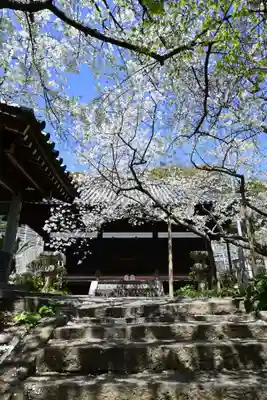 大宝寺(愛媛県)
