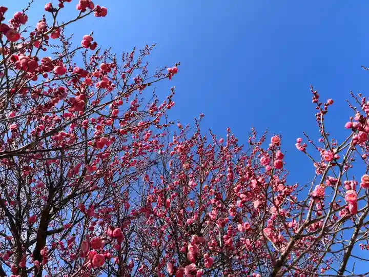 岡崎天満宮の{uncategorized: "未分類", other: "その他", undefined: "問題あり", building: "その他建物", grave: "お墓", sacred_gate: "鳥居", guardian: "狛犬", statue: "像", buddha: "仏像", history: "歴史", nature: "自然", garden: "庭園", animal: "動物", pagoda: "塔", temizu: "手水舎", mountain_gate: "山門・神門", sanctuary: "本殿・本堂", subordinate: "末社・摂社", art: "芸術", scenery: "景色", jizo: "地蔵", ema: "絵馬", goshuin: "御朱印", omikuji: "おみくじ", items: "授与品その他", amulet: "お守り", goshuincho: "御朱印帳", eats: "食事", festival: "お祭り", votive_dance: "神楽", shichigosan: "七五三参", wedding: "結婚式", experience: "体験その他", initially: "初詣", around: "周辺", anti_infection: "感染症対策"}