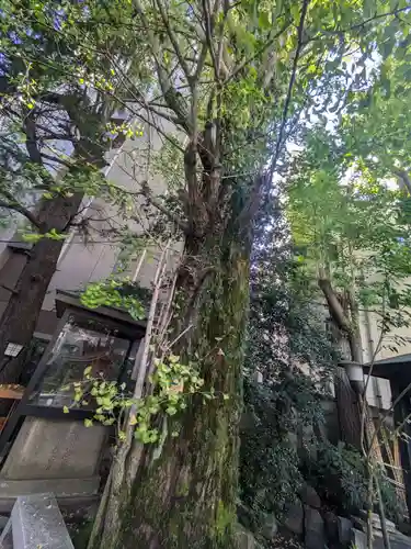 本覚寺(東京都)