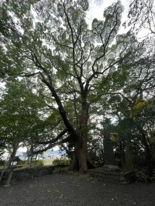 御薗神社の{uncategorized: "未分類", other: "その他", undefined: "問題あり", building: "その他建物", grave: "お墓", sacred_gate: "鳥居", guardian: "狛犬", statue: "像", buddha: "仏像", history: "歴史", nature: "自然", garden: "庭園", animal: "動物", pagoda: "塔", temizu: "手水舎", mountain_gate: "山門・神門", sanctuary: "本殿・本堂", subordinate: "末社・摂社", art: "芸術", scenery: "景色", jizo: "地蔵", ema: "絵馬", goshuin: "御朱印", omikuji: "おみくじ", items: "授与品その他", amulet: "お守り", goshuincho: "御朱印帳", eats: "食事", festival: "お祭り", votive_dance: "神楽", shichigosan: "七五三参", wedding: "結婚式", experience: "体験その他", initially: "初詣", around: "周辺", anti_infection: "感染症対策"}