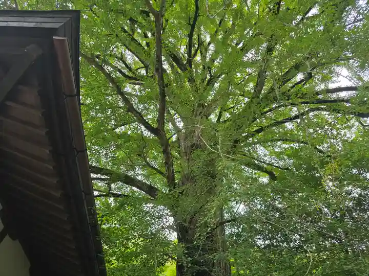 来迎院(奈良県)