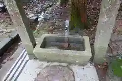 酒屋神社の手水