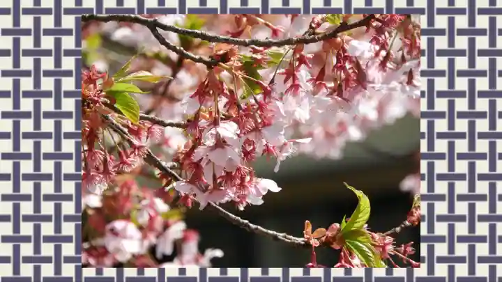 修禅寺(静岡県)