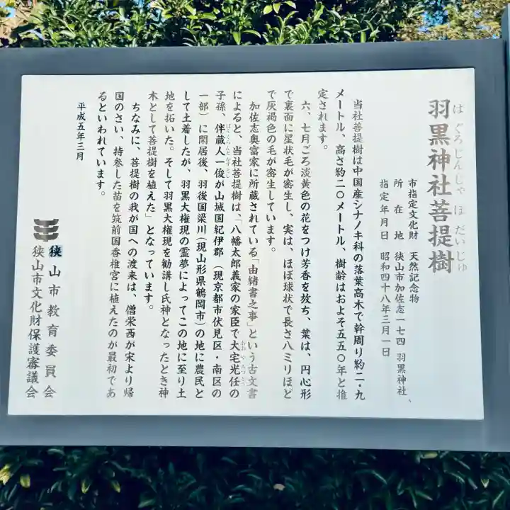 羽黒神社(埼玉県)