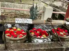 津島神社の手水