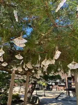 智恩寺(京都府)