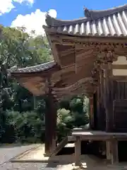 朝光寺の本殿