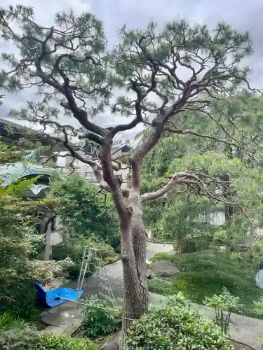 圓照寺(東京都)