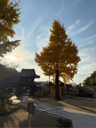 宝厳寺(愛媛県)