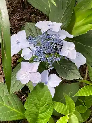 安楽寺(長野県)