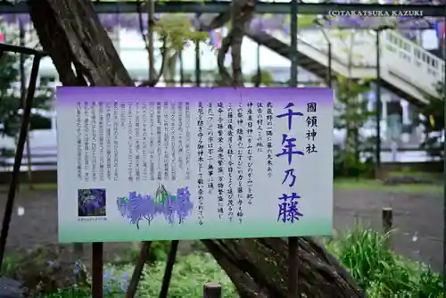 國領神社の歴史