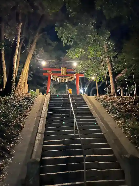 氷川女體神社(埼玉県)