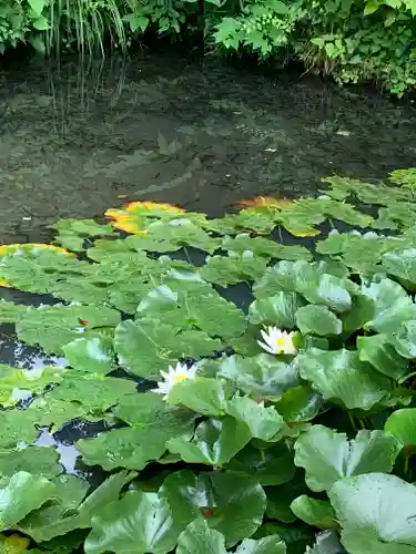 御嶽神社の自然