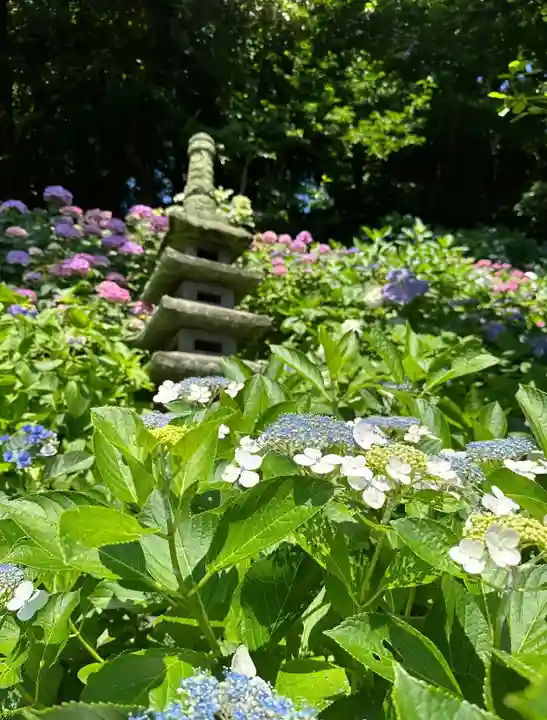 長谷寺(神奈川県)