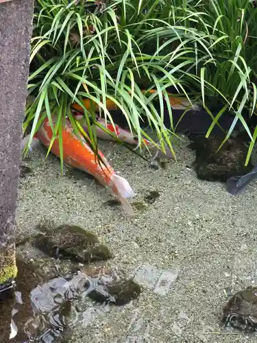 厳嶋神社(東京都)