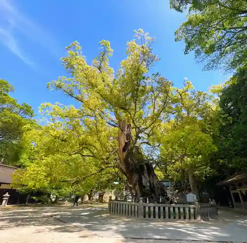 大山祇神社(愛媛県)