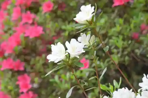 塩船観音寺(東京都)