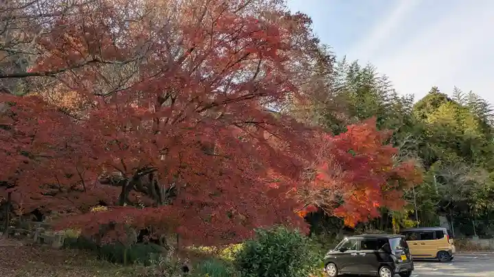 大石神社(京都府)