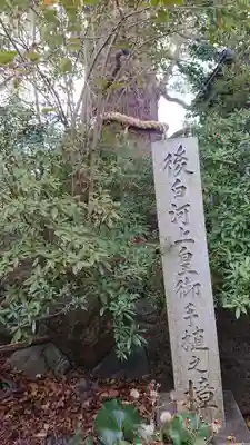 新熊野神社(京都府)