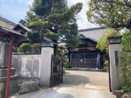 善性寺の山門