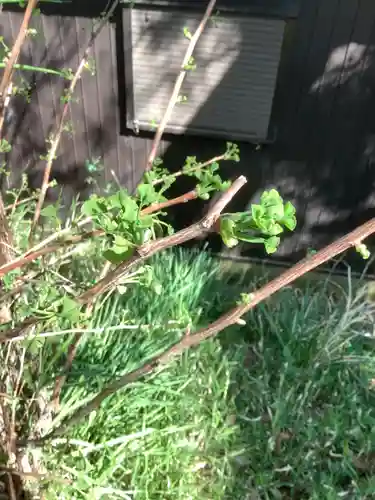 小垣江神明神社のその他建物