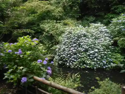 蛇苦止明神(蛇苦止堂)の自然