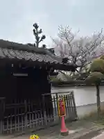 妙琳坊(大阪府)