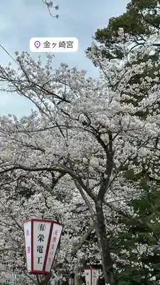 金崎宮(福井県)