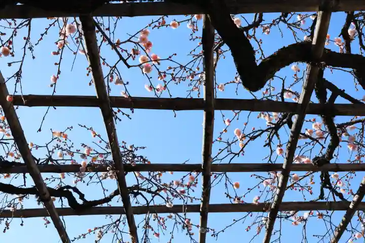 長善寺(東京都)