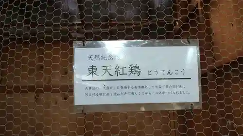 大甕神社のその他建物