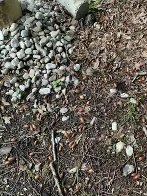 民草神社の自然