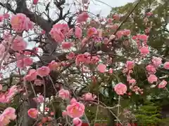 美奈宜神社(福岡県)