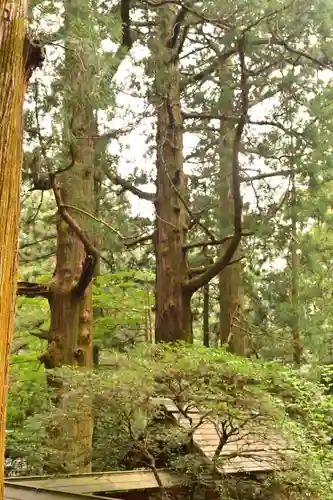 赤城神社(三夜沢町)(群馬県)