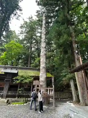 諏訪大社下社春宮(長野県)