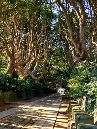 酒列磯前神社の景色