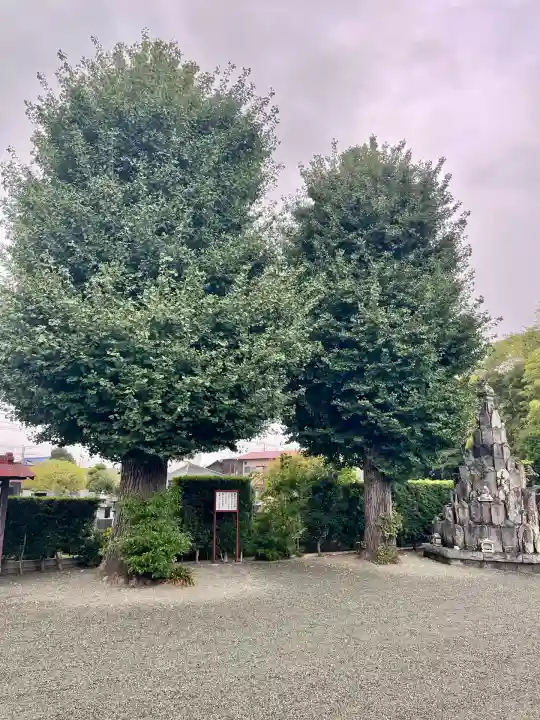 大通寺(神奈川県)